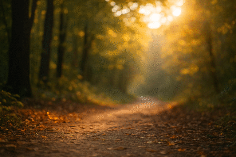 Mindfulness for Beginners: A sunlit dirt path through a forest with autumn leaves on the ground.